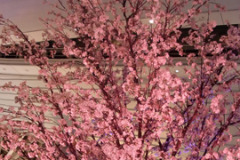 桜装飾　株式会社ビッグウイング