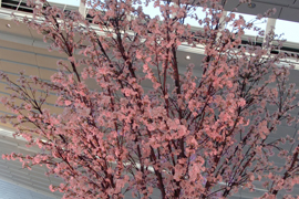 桜装飾　株式会社ビッグウイング