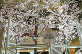 桜装飾　相模大野ステーションスクエア