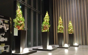 ザ・キャピトルホテル 東急　クリスマス装飾