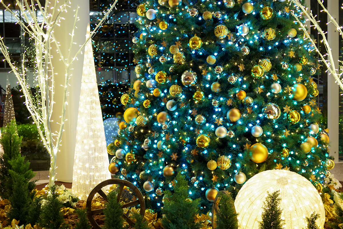 パシフィックセンチュリープレイス丸の内　クリスマス装飾　2017