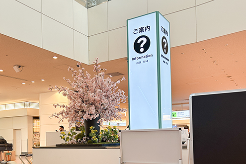 羽田空港国際線　桜装飾