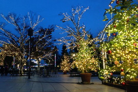 空間装飾実績紹介　安城産業文化公園「デンパーク」