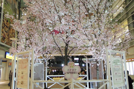 桜装飾　相模大野ステーションスクエア