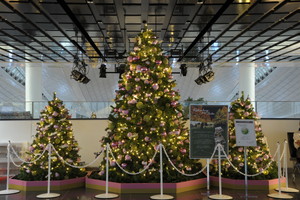 羽田空港　クリスマス装飾