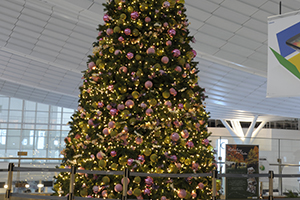 羽田空港　クリスマス装飾