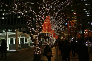 新宿野村ビル　クリスマス装飾