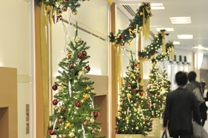 渋谷マークシティ　クリスマス装飾