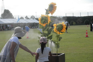 ソニー熊本　イベント装飾