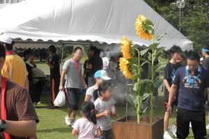 ソニー熊本　イベント装飾