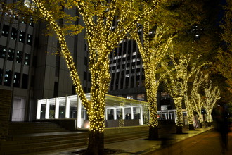 羽田空港　クリスマス装飾2016