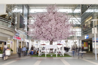 相模大野ステーションスクエア 桜装飾 2017