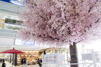 相模大野ステーションスクエア 桜装飾 2017