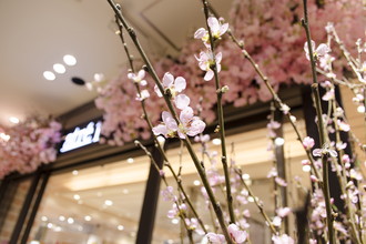 アトレ目黒　桜装飾　2017