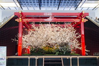 羽田空港国際線　桜装飾　2017