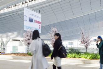 羽田空港国際線　桜装飾　2017