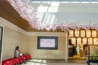 羽田空港国際線　桜装飾　2017