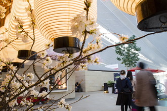 羽田空港国際線　桜装飾　2017