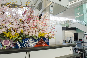 羽田空港国際線　桜装飾　2017