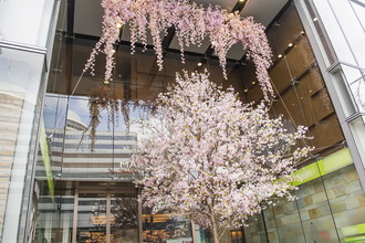 マロニエゲート　桜装飾　2017