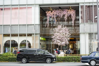 マロニエゲート　桜装飾　2017