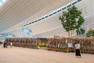 羽田空港国際線　朝顔装飾　2017
