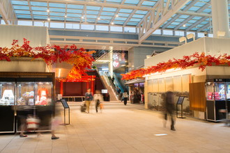 羽田空港国際線　ハロウィン装飾　2017