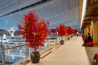 羽田空港国際線　ハロウィン装飾　2017