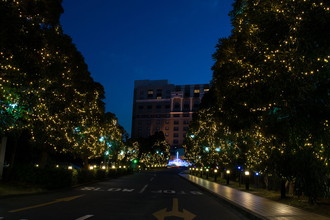 ホテルオークラ東京ベイ　クリスマス装飾　2017