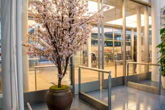 羽田空港国際線　桜装飾　2018