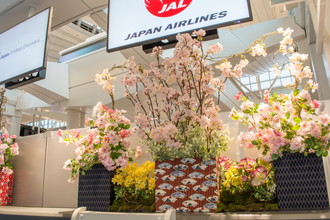 羽田空港国際線　桜装飾　2018