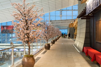 羽田空港国際線　桜装飾　2018