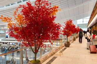 羽田空港国際線　秋装飾　2018