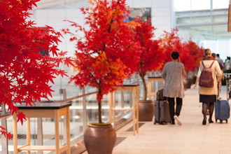 羽田空港国際線　秋装飾　2018