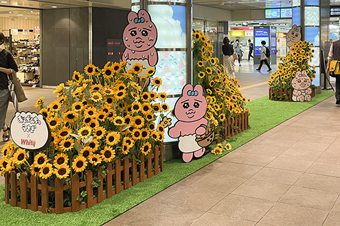 「おぱんちゅうさぎとひまわり畑～夏の思い出～」花装飾施工