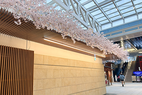 羽田空港国際線　桜装飾