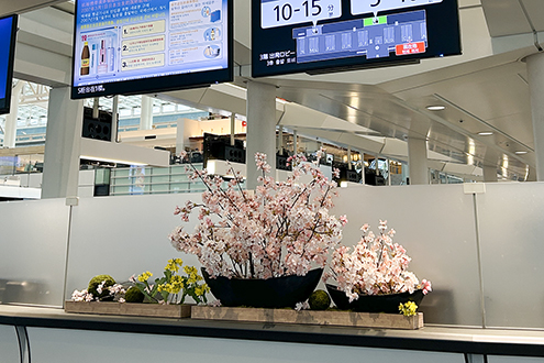 羽田空港国際線　桜装飾