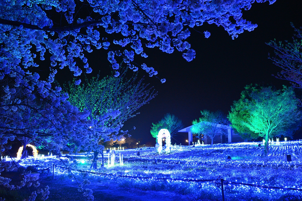 都立公園で新しい集客モデルを実現──『花と光のムーブメント』舎人公園の事例