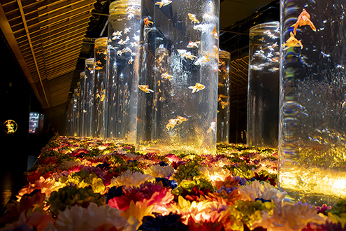  アートアクアリウム美術館 GINZAのメインエリア花演出を担当