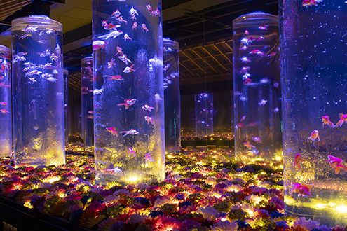 アートアクアリウム美術館 GINZAのメインエリア花演出を担当』