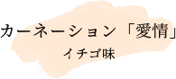 カーネーション「愛情」　イチゴ味