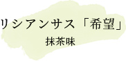 リシアンサス「希望」　抹茶味