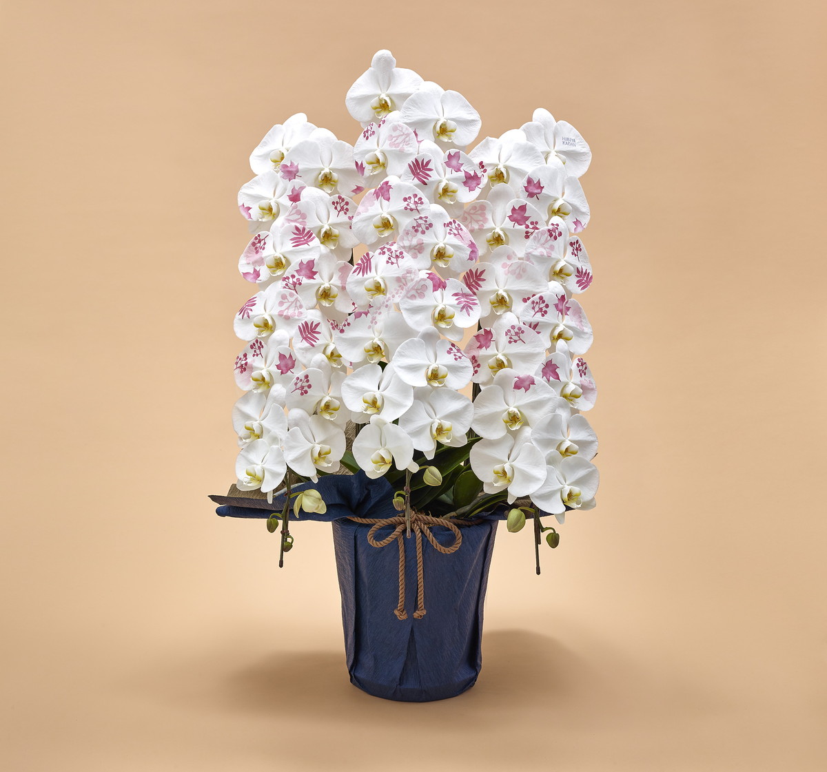 日比谷花壇オリジナル化粧蘭日比谷花壇が厳選した、ハイクオリティーの胡蝶蘭に花や情景絵柄を施した「オリジナル化粧蘭」