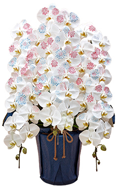 日比谷花壇デザイナーズ化粧蘭 「 HANABI 」
