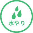 水やり