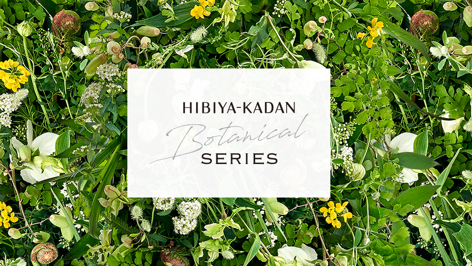HIBIYA-KADAN Botanical SERIES